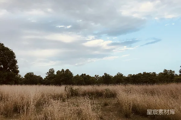高清摄影 蓝天下的棕色草地