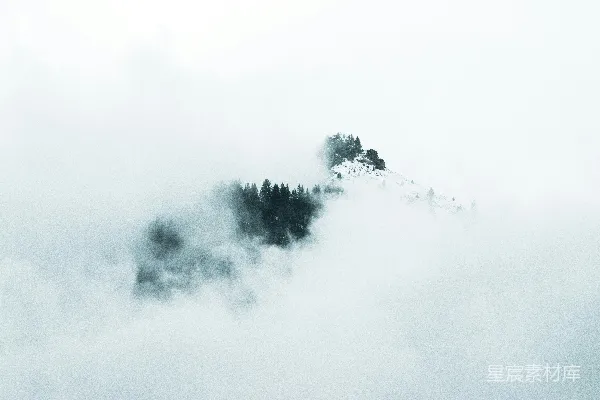 高清摄影 白云下的绿树