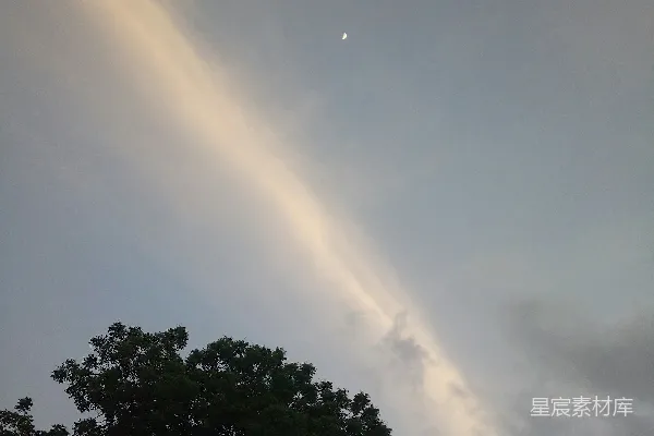 高清摄影 一棵很高的树，坐在多云的天空下