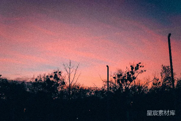 高清摄影 粉蓝相间的天空，前景中有一些树木。