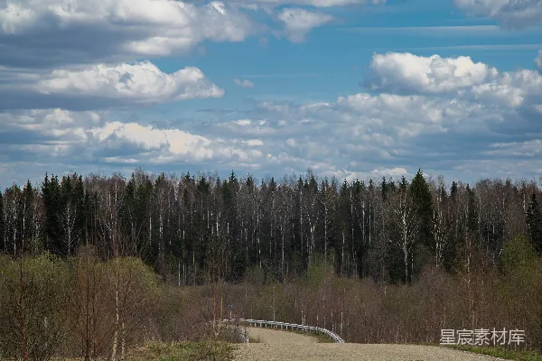 高清摄影 有树木和道路的风景
