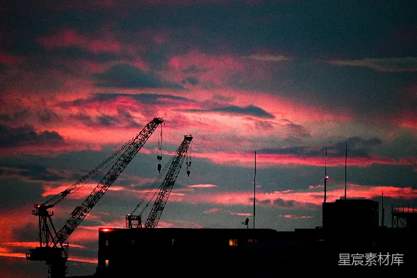高清摄影 夕阳下鹤的剪影