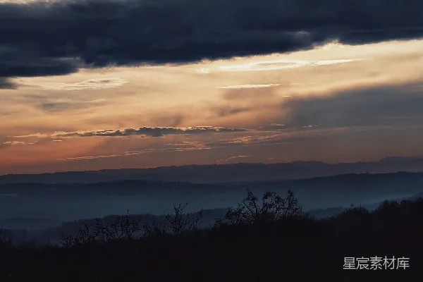 高清摄影 夕阳西下时，云层低垂下的树木剪影