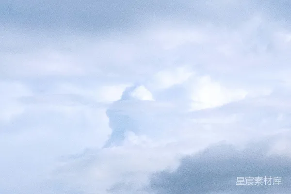 高清摄影 一群羊站在一片郁郁葱葱的绿地上。