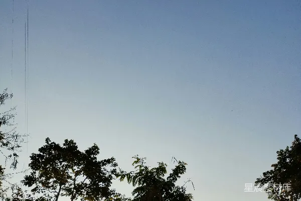 高清摄影 一只风筝在空中高飞。