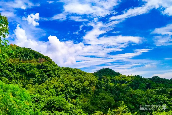 高清摄影 一片郁郁葱葱的山丘，在蓝天的映衬下覆盖着树木。