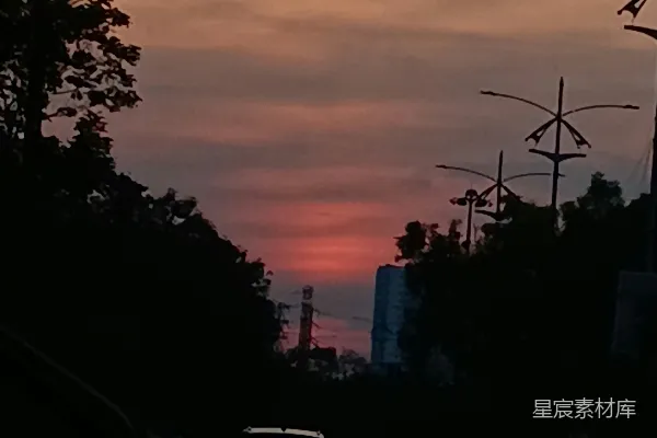 高清摄影 繁忙道路上的落日，树木剪影。