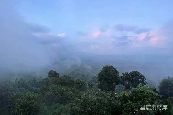 高清摄影 从山上俯瞰一片雾蒙蒙的森林。