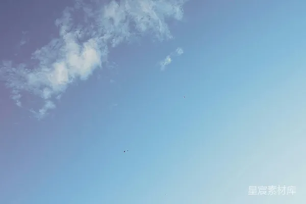 高清摄影 一棵没有叶子的树在蓝天前