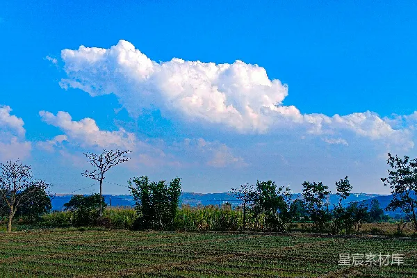 高清摄影 一片草地，背景中有树木和山脉。