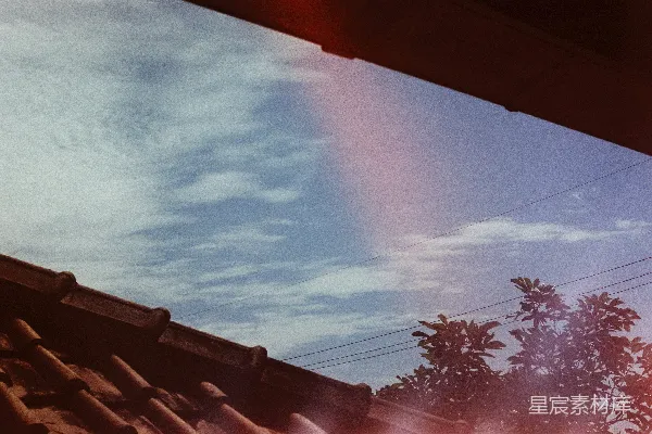 高清摄影 蓝天下的绿树
