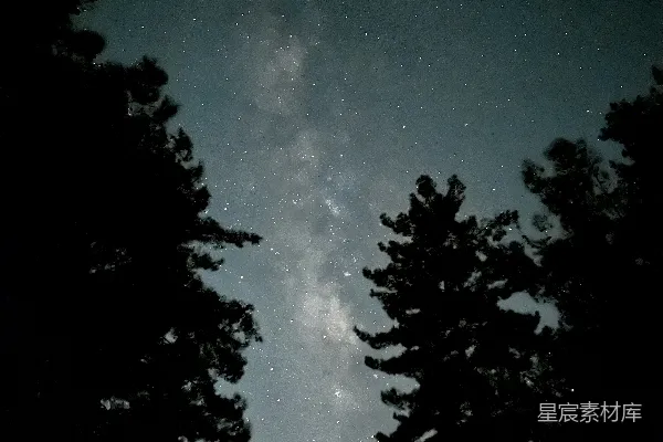高清摄影 一个星空满天的夜晚，树木繁茂。