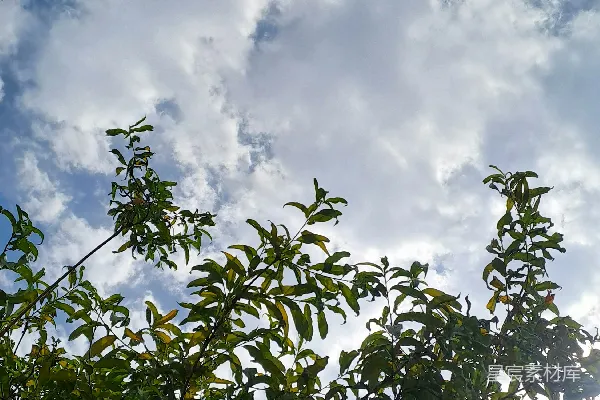高清摄影 太阳透过云层照耀在天空中。