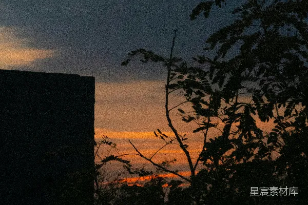 高清摄影 乌云密布的橙色夕阳下，树木剪影。