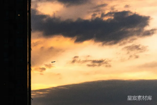 高清摄影 夕阳西下，鸟儿在云层中飞翔。