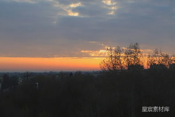 高清摄影 夕阳笼罩在一片黑暗、树木剪影的景观之上。