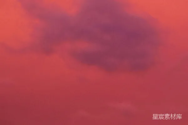 高清摄影 深红色的天空中有乌云和树的剪影。