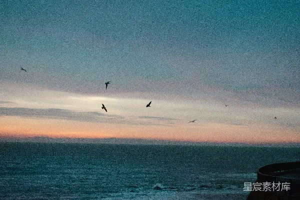 高清摄影 一群鸟在日落时分飞过海洋。