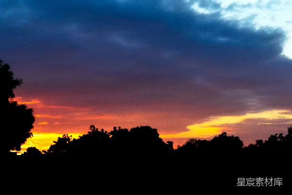 高清摄影 夕阳西下，天空绚丽，树影剪影。