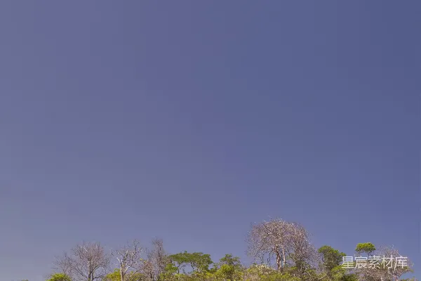 高清摄影 一个男人在沙滩上骑着冲浪板。