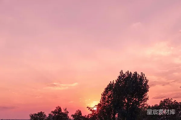 高清摄影 夕阳映照在树木和建筑物上。