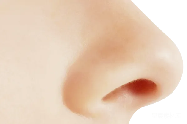 元素素材 人体局部特写：鼻子