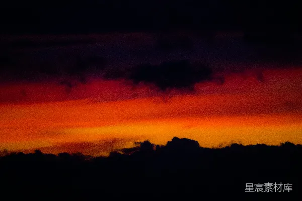 高清摄影 夕阳映照在森林之上