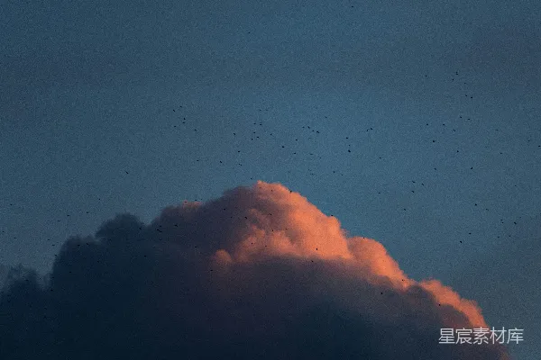 高清摄影 夕阳余晖照亮了一朵孤云。
