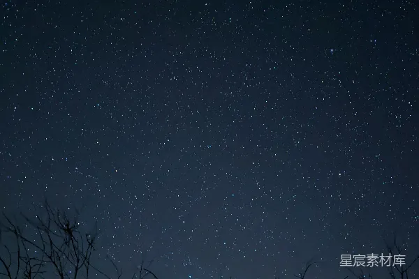高清摄影 夜空中充满了星星和树木。
