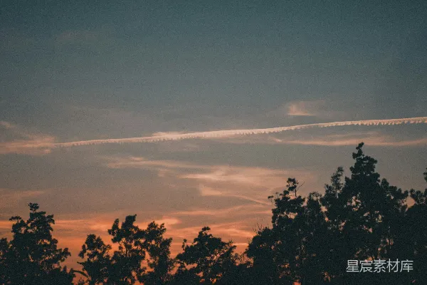 高清摄影 橙色和蓝色的夕阳天空，映衬着深色的树木剪影。