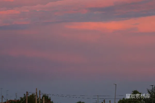 高清摄影 夕阳下树木的剪影