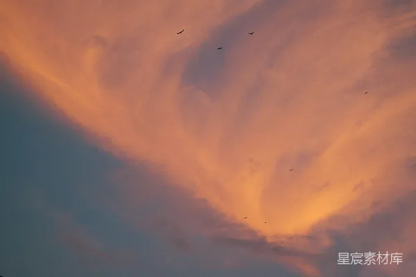 高清摄影 一群鸟在阴云密布的天空中飞翔。