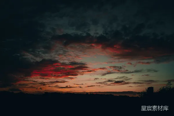 高清摄影 夕阳下树木的剪影