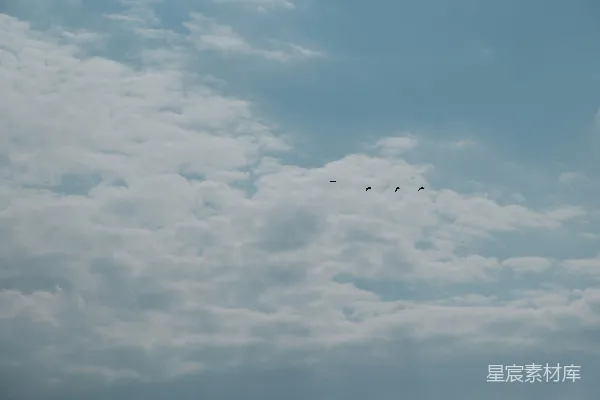 高清摄影 三架飞机编队飞行在多云的天空中。