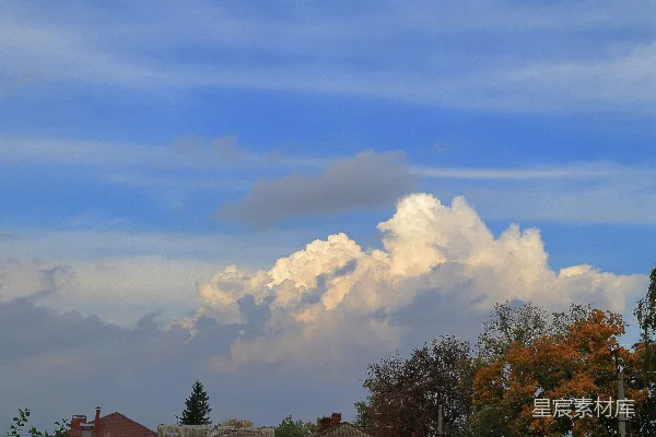 高清摄影 阳光照亮了树木上方的云层。