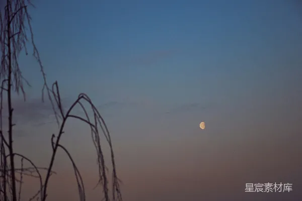 高清摄影 月亮正落向地平线。