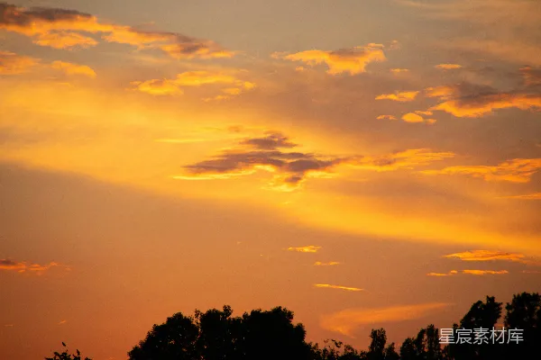 高清摄影 鲜艳的橙色和黄色的夕阳天空，背景中有黑色的树的剪影。