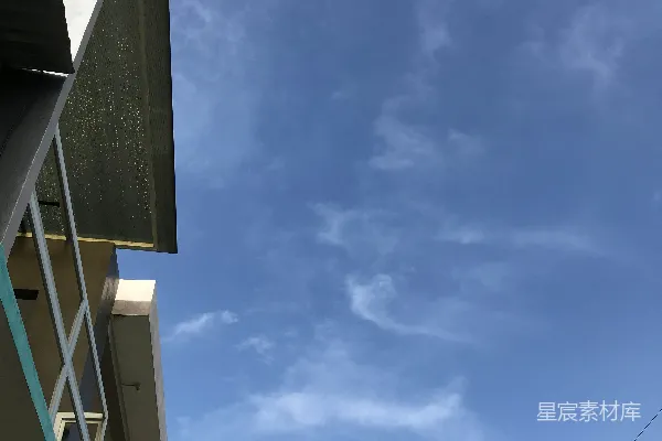 高清摄影 一座绿色的建筑，前面有一棵棕榈树。