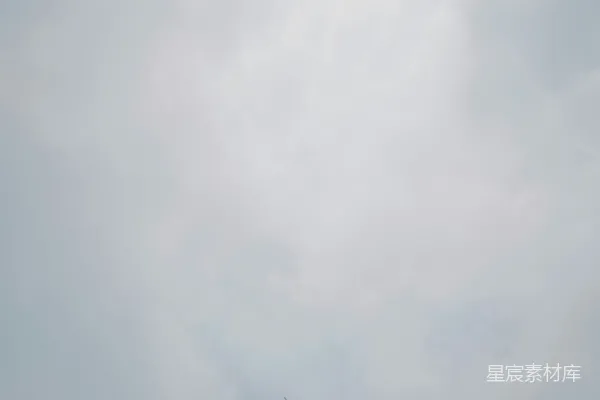 高清摄影 一架飞机在多云的天空中飞行。