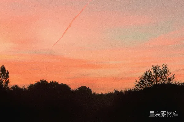 高清摄影 夕阳西下，天空绚丽，树影婆娑。