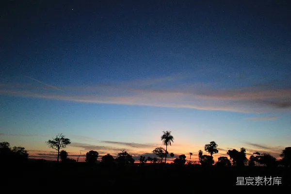 高清摄影 夕阳下，人们站在树旁的剪影。