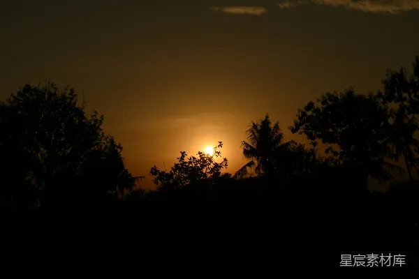 高清摄影 夕阳正挂在树梢后面。