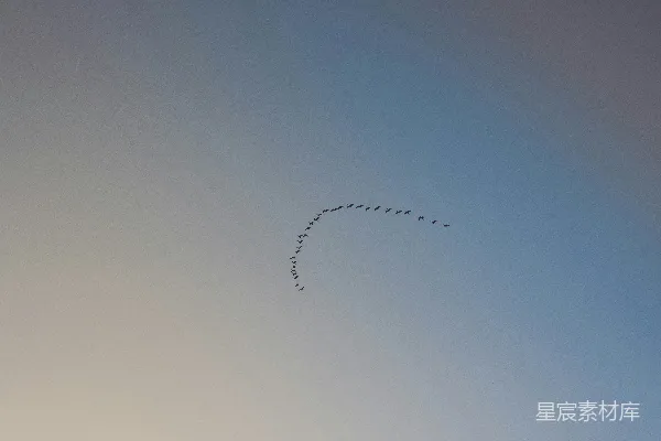 高清摄影 白天的白云蓝天