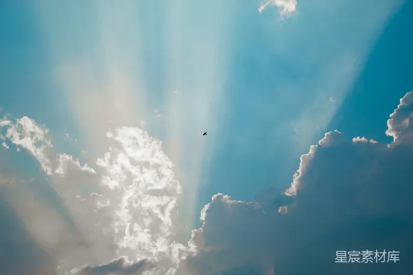高清摄影 一群鸟在白天的蓝天中飞翔。