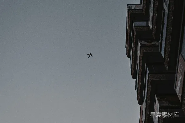 高清摄影 低角度拍摄飞翔中的鸟