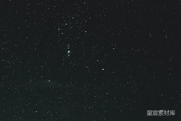 高清摄影 夜空中布满了星星和树木。