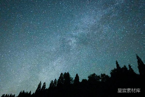 高清摄影 满天星斗的夜空下树木
