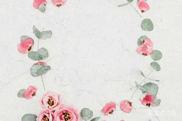 高清摄影 粉色玫瑰花在白色大理石表面