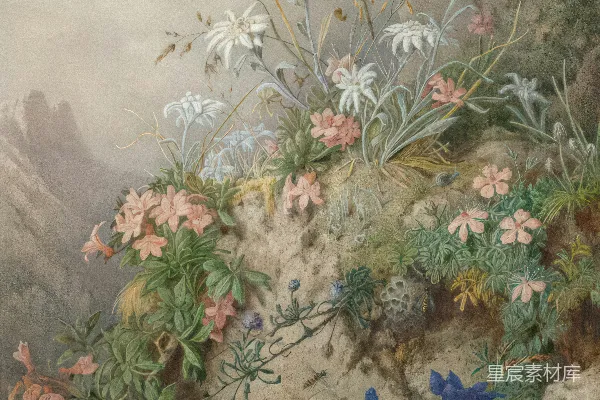 高清摄影 一幅在岩石悬崖上的花卉画作