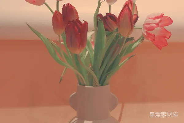 高清摄影 粉红色郁金香在透明玻璃花瓶中